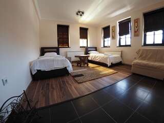 Гостевой дом Guest house DON-lux Плевля Стандартный номер с 2 односпальными кроватями и диваном-3
